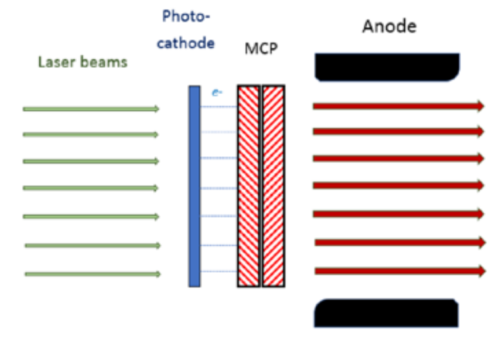 Publication Image